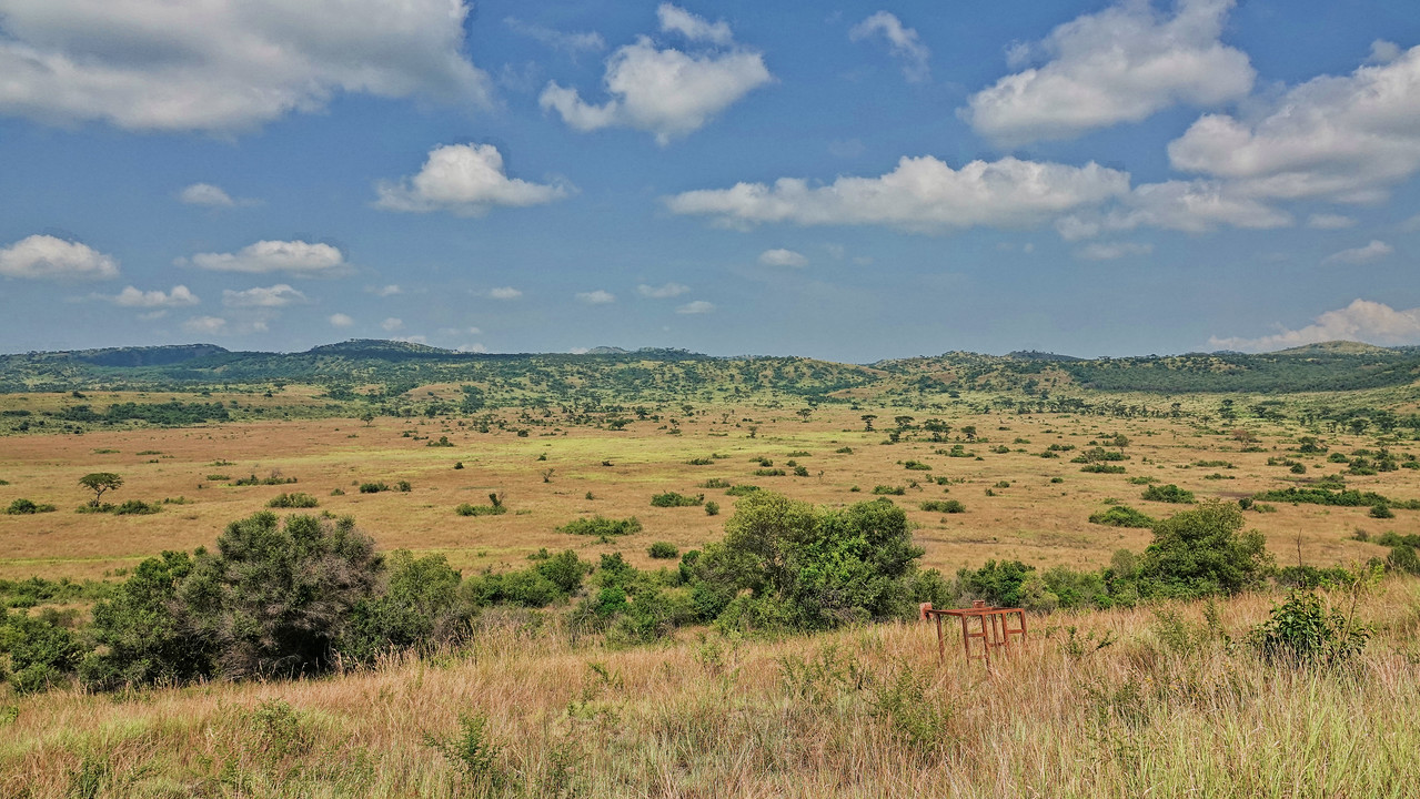 Queen Elizabeth National Park landscape in western Uganda